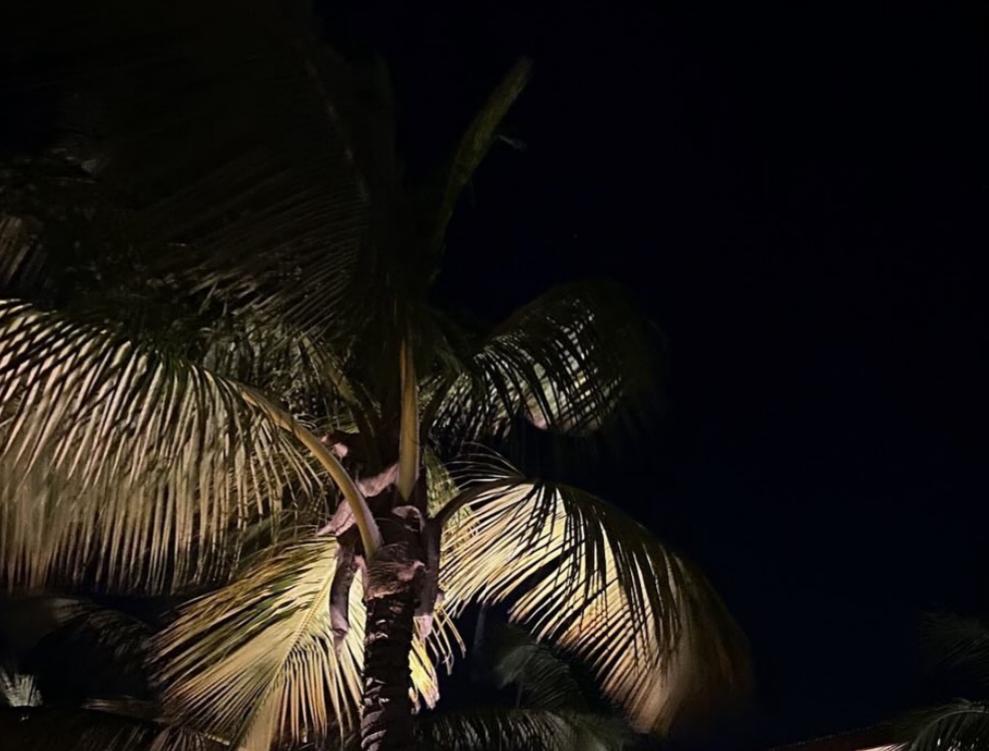 <strong>Leonardo G.</strong>